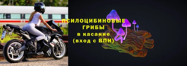 стафф Алексеевка