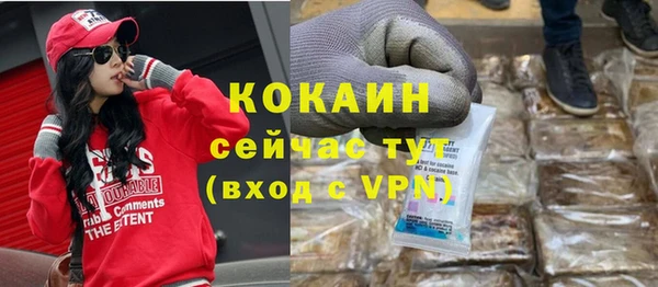соль ск Алексин