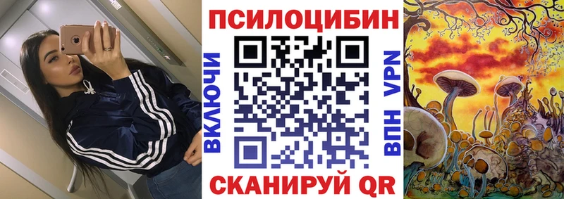 Галлюциногенные грибы Cubensis где можно купить наркотик Новоалександровск