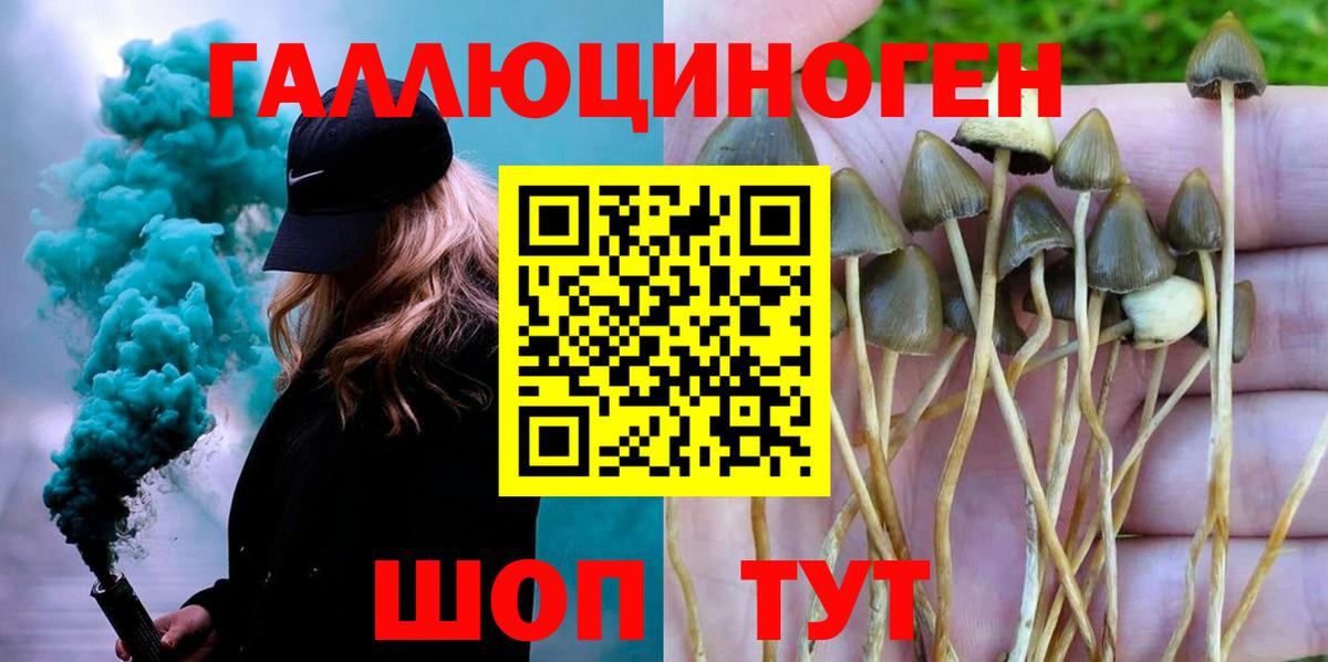 Псилоцибиновые грибы мицелий Новоалександровск