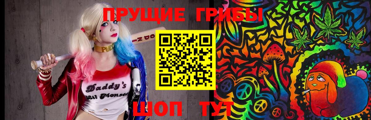 Новоалександровск  Псилоцибиновые грибы ЛСД  Вход с VPN 